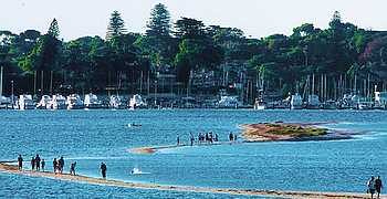 Melville_350x180_50 view of Point Walter Reserve in the City of Melville in Western Australia showing people walking on the sandbanks in the Swan River