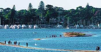 Melville_350x180_50 view of Point Walter Reserve in the City of Melville in Western Australia showing people walking on the sandbanks in the Swan River